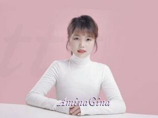 AminaGina