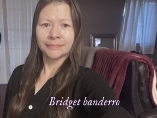 Bridget_banderro