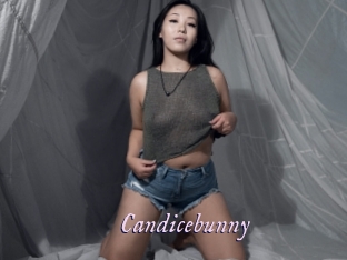Candicebunny