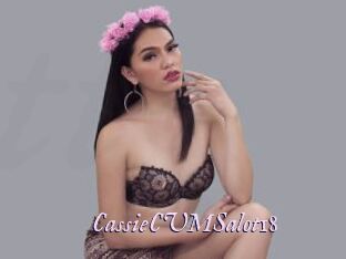 CassieCUMSalot18