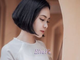 EiraVu