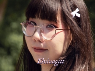 Elvinagitt