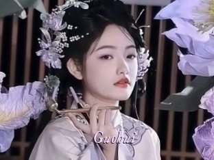 Guohui