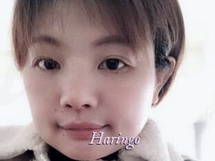 Haringo Topless Tokyo Girls