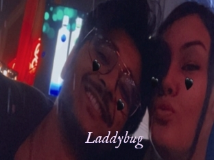 Laddybug
