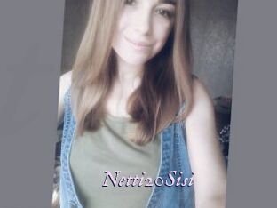 Netti20Sisi