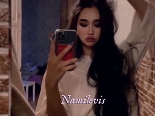 Namilevis