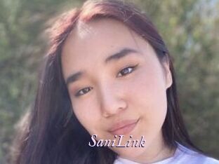 SaniLink