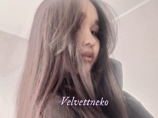 Velvettneko