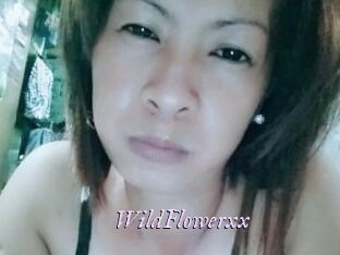 WildFlowerxx