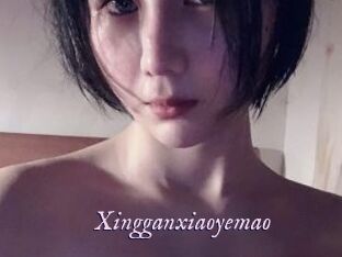 Xingganxiaoyemao