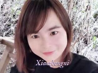 Xiaozhengni